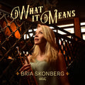 What It Means (Black Vinyl) (Blk) [Colored Vinyl] Vinyl Record