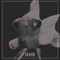 Jesse - Complete Discography - Vinyl Record