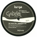 Davis Jr,roy - Gabriel - Vinyl Record