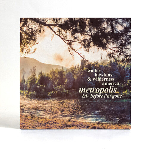Hawkins,walter - Metropolis - Vinyl Record