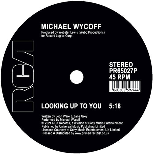 Wycoff,michael - Looking Up To You - Vinyl Record