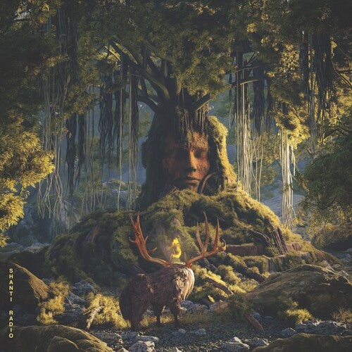 Hewek,gorje - Home - Vinyl Record