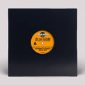 Early,matt - Sun Will Shine Another Day - Vinyl Record