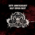 Chain'sole - 30th Anniversary Self Cover Best: So Power 2024 - Music CD
