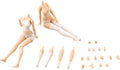 Sousaishojoteien - Dress Up Body (m) - Sousaishojoteien - Dress Up Body (m) - Collectibles