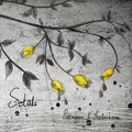 Pettersson & Fredriksson - Sotali - Music CD
