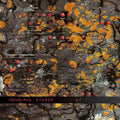 Monolake - Studio - Music CD