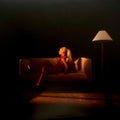 Grande,ariana - Eternal Sunshine - Vinyl Record