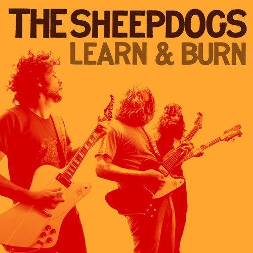 Sheepdogs - Learn & Burn - Music CD