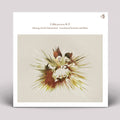 Calm Presents F.k. - Shining Of Life Flutemental - Unreleased Versions - Vinyl Record