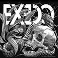 Exedo - Body Remembers - Vinyl Record