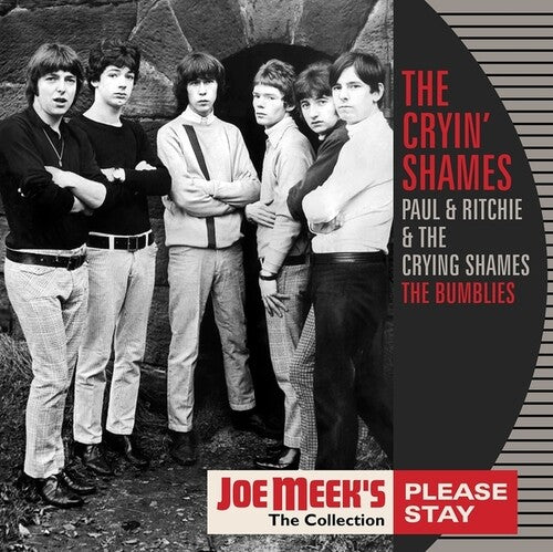 Cryin' Shames - Please Stay - Vinyl Record