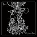 Elephant Tree - Theia (anniversary Edition) - Music CD