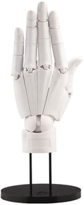 Artist Support Item Hand Model/l (white) - Artist Support Item Hand Model/l (white) - Collectibles