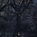 Trelldom - By The Shadows - Music CD
