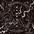 Servant - Blessed By The Light Of A Thousand Stars - Vinyl Record