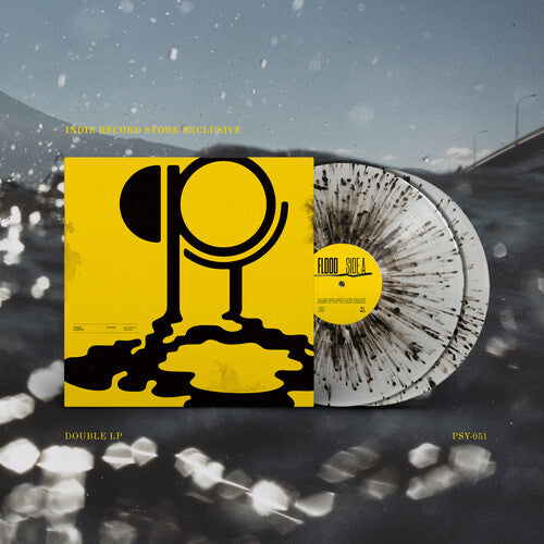 Hippo Campus - Flood - Clear Galaxy - Vinyl Record