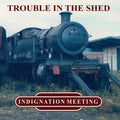 Indignation Meeting - Trouble In The Shed - Vinyl Record