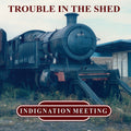Trouble In The Shed [LP] Vinyl Record