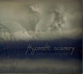 Hypnotic Scenery - Detur & Crystal Curtain - Music CD