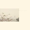 Wild Nothing - Golden Haze - Golden Haze - Vinyl Record