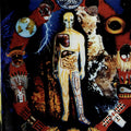 Cathedral [LP] Vinyl Record