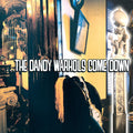 Dandy Warhols - Dandy Warhols Come Down - Vinyl Record