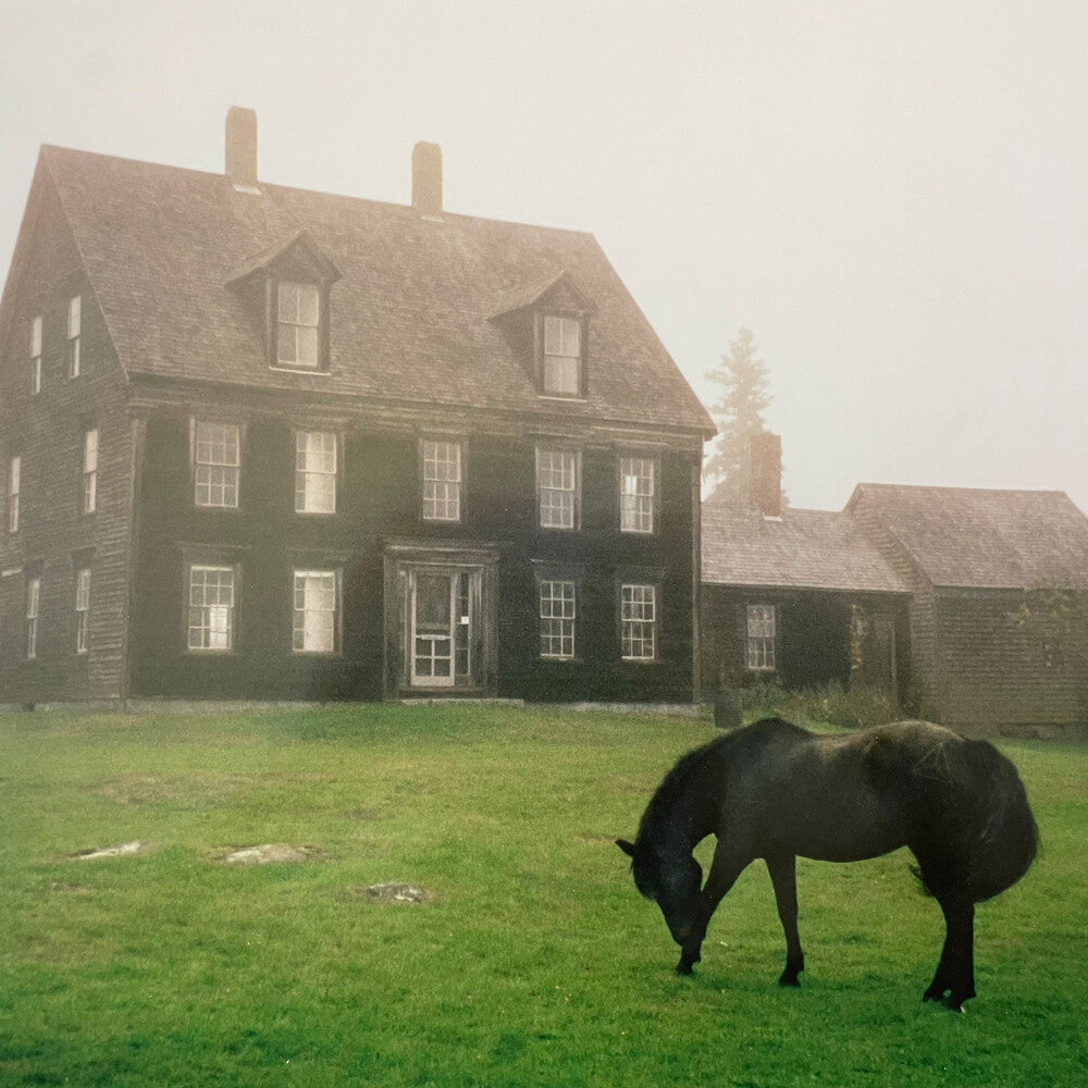 Academy [LP] Vinyl Record