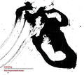 Fite,niklas / Christmann,gunter - Insisting - Music CD