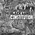 Gamedze,asher & The Black Lungs - Constitution - Vinyl Record