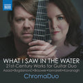 Bogdanovic / Kavanagh / Chromaduo - What I Saw In The Water - Music CD