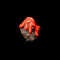Soil - Red Splatter Colored Vinyl [LP] Vinyl Record