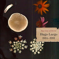 Hugo Largo - Huge Large And Electric: Hugo Largo 1984-1991 - Vinyl Record