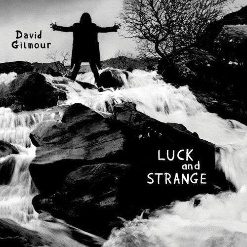Gilmour,david - Luck And Strange - Music CD