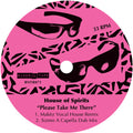 House Of Spirits - Please Take Me There - Vinyl Record