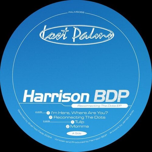 Harrison Bdp - Reconnecting The Dots - Vinyl Record