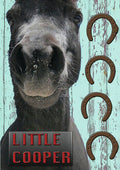 Little Cooper - Little Cooper - DVD