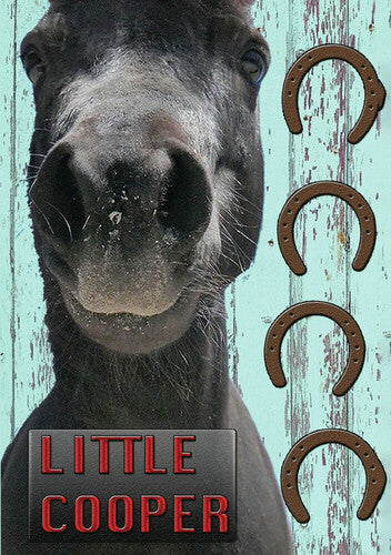 Little Cooper - Little Cooper - DVD