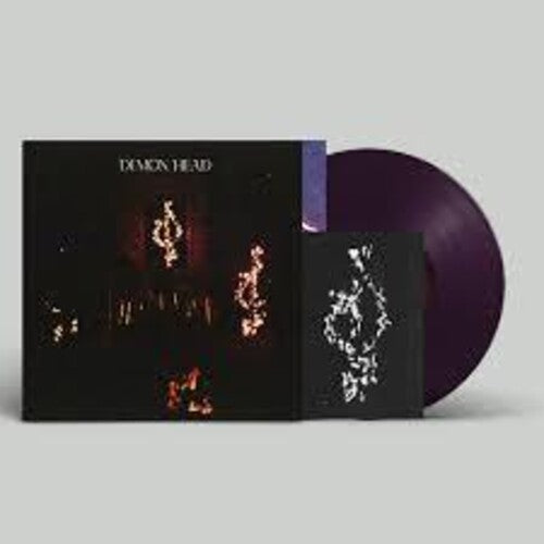 Demon Head - Through Holes Shine The Stars - Vinyl Record