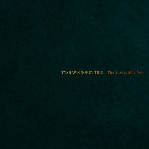 Tyshawn Sorey Trio - Susceptible Now - Vinyl Record