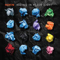 Herin - Hiding In Plain Sight - Music CD