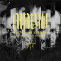 Pronoia Sessions [LP] Vinyl Record