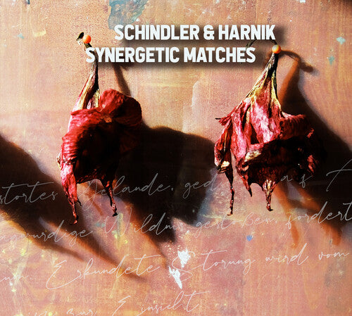 Schindler & Harnik - Synergetic Matches - Music CD