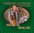 What Are You Waiting For [LP] Vinyl Record