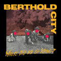 Berthold City - Where Did We Go Wrong - Vinyl Record