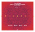 Bartok / Hartmann / Barragan / Szarkozy Trio - Szinergia - Music CD