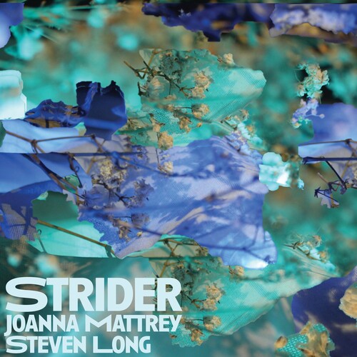 Long,steven - Strider - Music CD