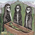Hail The Sun - Wake - Vinyl Record