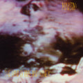 Ministry - Land Of Rape And Honey [Deluxe] (Bme)