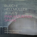 Buechi,sarah - Pink Mountain Sagas - Music CD